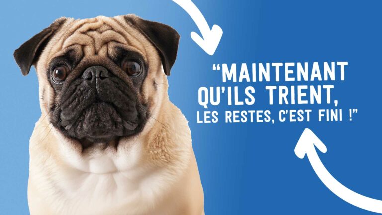 Quand les camions deviennent ambassadeurs du tri et du réemploi visuel habillage camions déchets Grand Lac