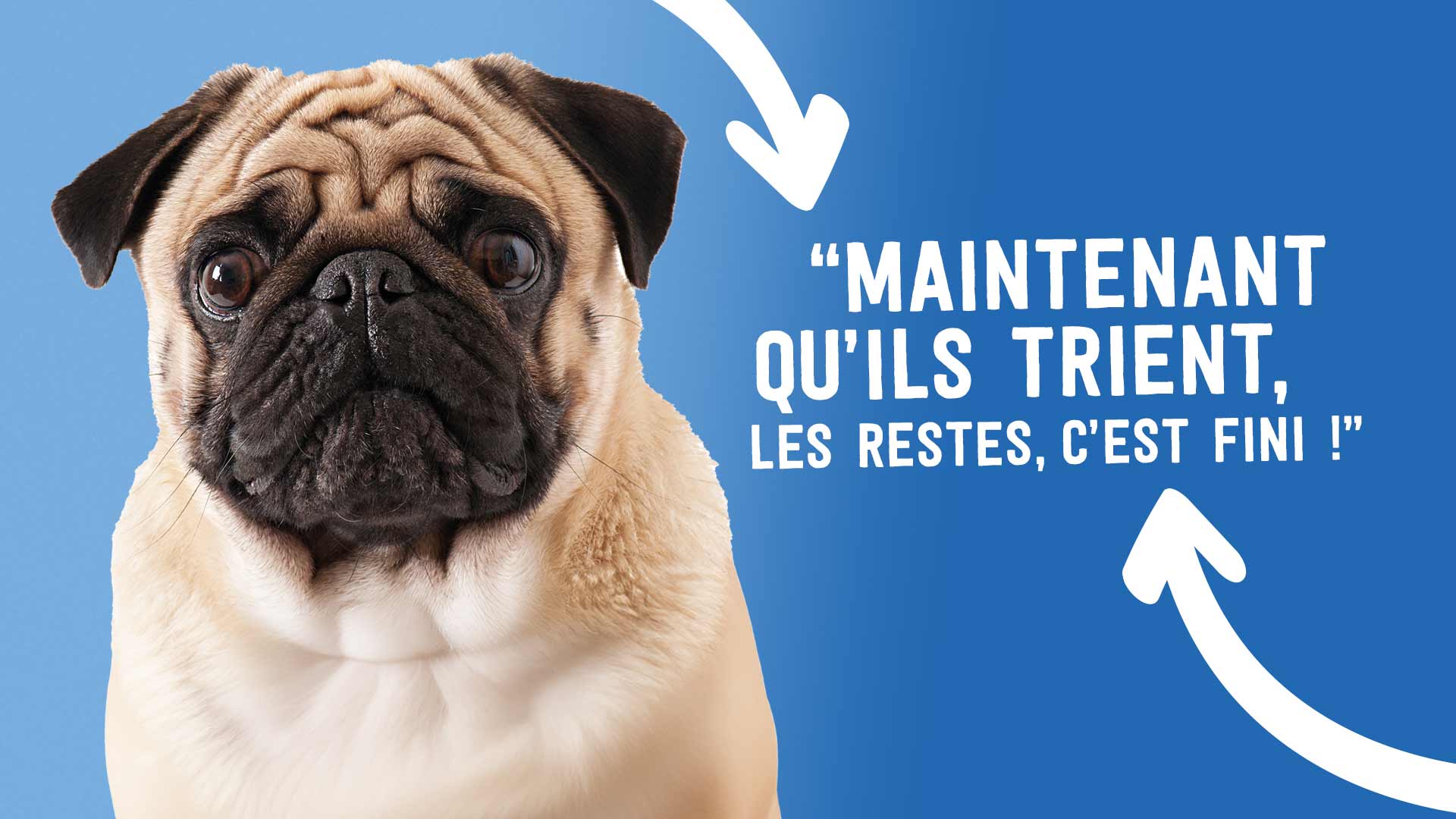 visuel habillage camions déchets Grand Lac