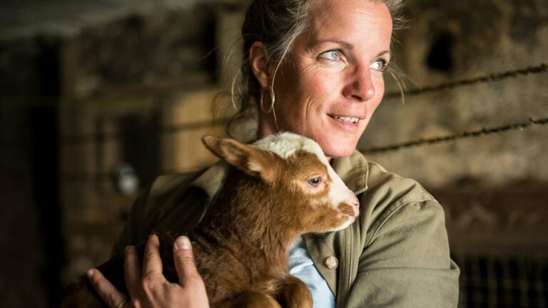 Lancement de la marque Chazelaine chazelaine